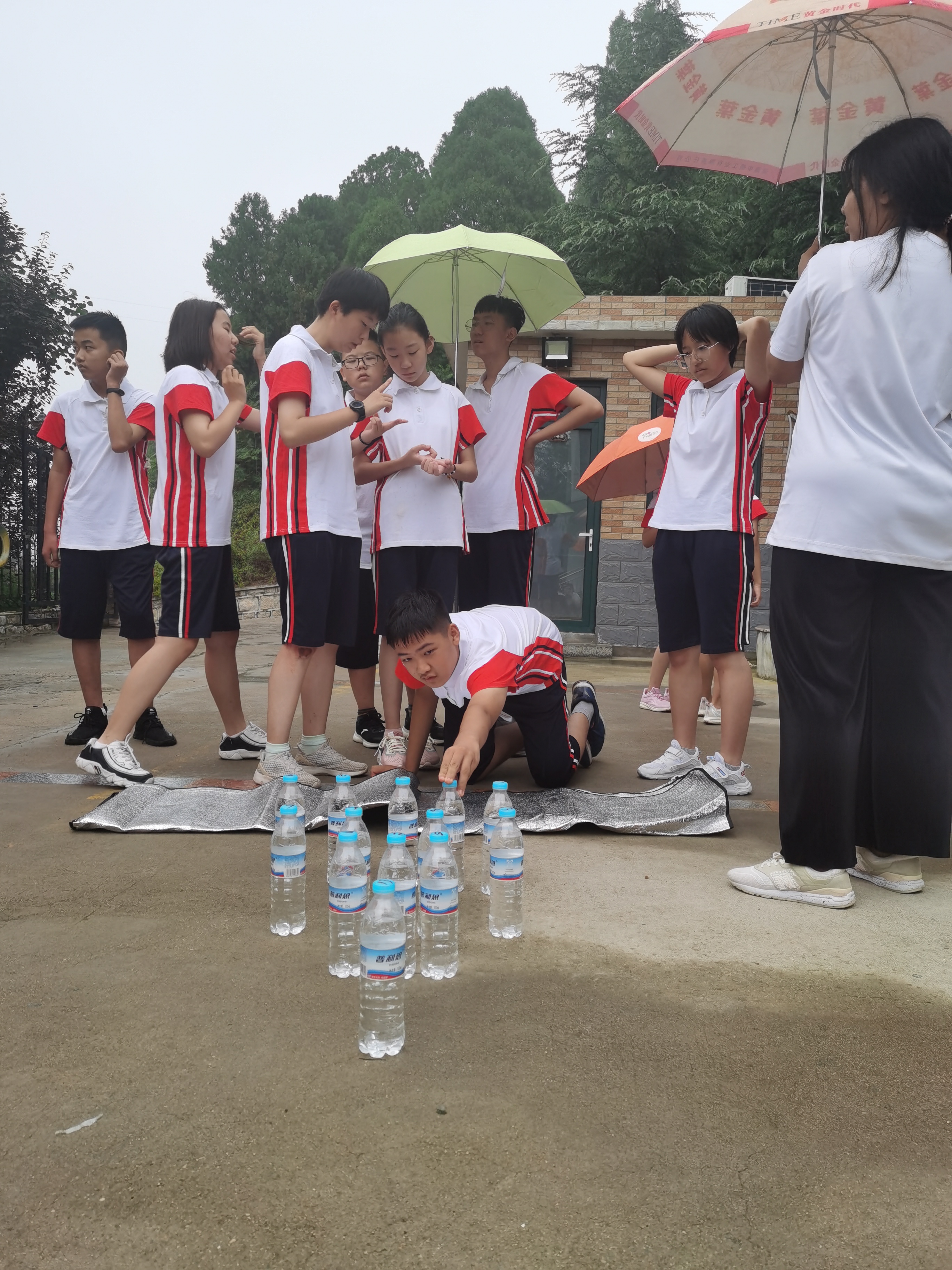 IMG_20200819_101905.jpg IMG_20200819_101905.jpg